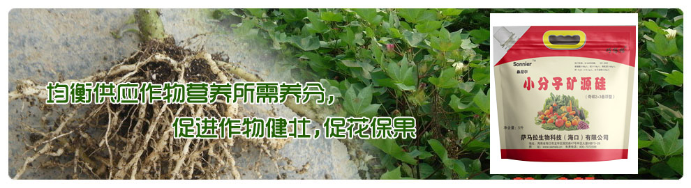 _RƼڣ޹˾